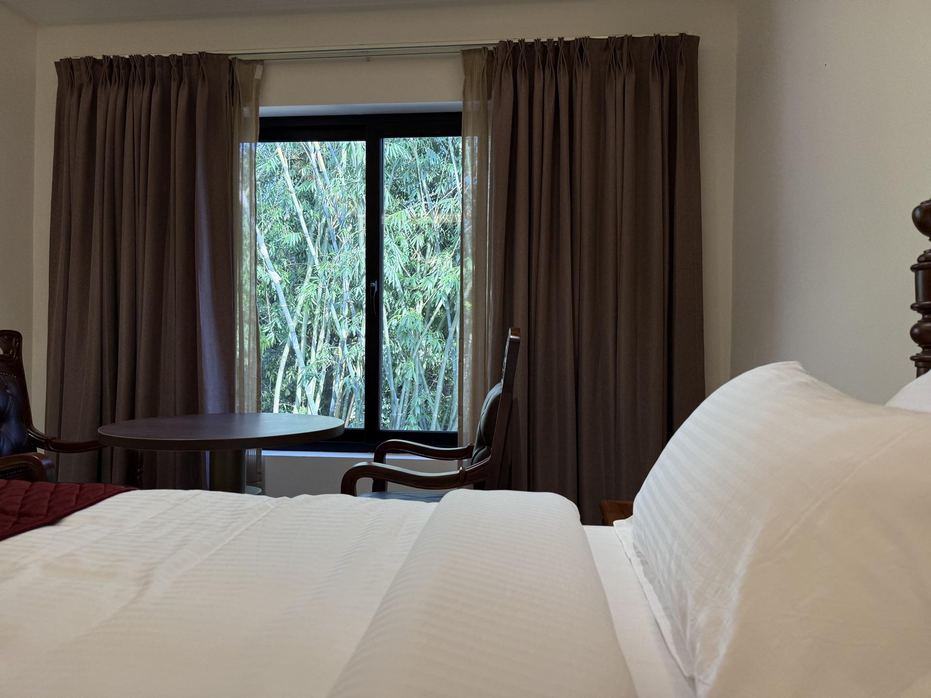 Discovering Wayanad: A Hidden Gem of Kerala